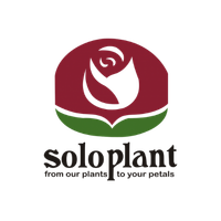 Soloplamt